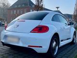 Volkswagen VW Beetle / Käfer Special Edition 1.6 TDI - Volkswagen: Sportwagen, Kaefer