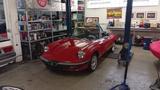 Alfa Romeo Spider 2.0L - Alfa Romeo aus 1988