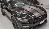 Ford Mustang 5.0 V8 442hk+  Performance & Premium - Ford Mustang: Performance