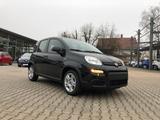 Fiat New Panda 1.0 Hybrid *5 Sitzer Klima Komfort* - Fiat New Panda aus 2024