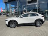 Mazda CX-30 2.5 (140PS) Autom. Centre-Line Rückfahrkam - Mazda CX-30 Gebrauchtwagen in Frankfurt