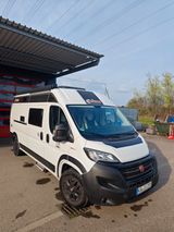 Challenger V 114 VIP | Markise , RFK ,-- Nur diese Woche!!! - Challenger Diesel Kastenwagen