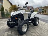 Can-Am Renegade 500 G1 - CAN-AM RENEGADE
