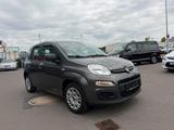 Fiat Panda Easy - graue Fiat Panda