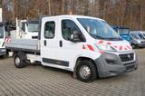 Fiat Ducato Pritsche L4 Doka 7-Sitzer,3,5t,AHK,E5 - Tier-/Pferdetransport 7 5 t