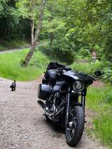 Harley-Davidson Sport Glide, Bj 2021, Jeckyl &Hide Auspuff - Offers matching your search criteria