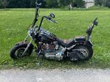 Harley-Davidson Gepflegte Softtail Standard FXST - HARLEY-DAVIDSON SOFTTAIL
