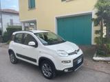 Fiat FIAT PANDA 4x4 0.9 TURBO TWINAIR 85CV TREKKING - Fiat Panda: Twin