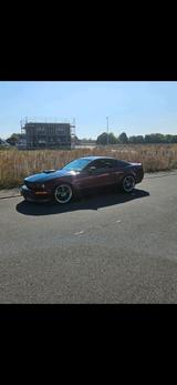 Ford Mustang REGENCY GT 4,6L V8 - 119.800 km - Ford Mustang aus 2008: V6