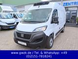 Fiat Ducato 35 L2 Kühlwagen(CarrierXario 350-05) -20° - Angebote
