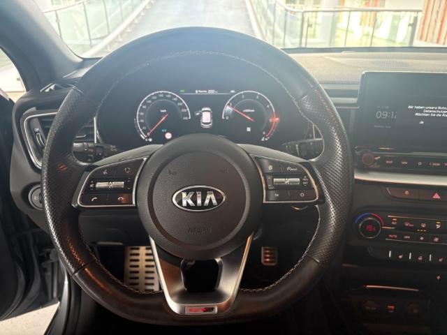 Kia ProCeed Navi LED Rückfahrkamera Sitzhzg PDC