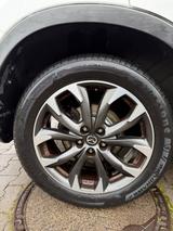 Mazda CX-5 Sports-Line AWD ASSIST 175 - Mazda CX-5 Gebrauchtwagen in Düsseldorf