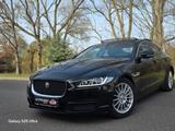 Jaguar XE 2.0D Panorama/Bi-Xenon/gr.Navi/SHZ/TopZustand - Jaguar aus 2015