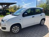 Fiat Panda 1.2 8V MYSTYLE - Fiat New Panda von privat