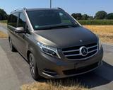 Mercedes-Benz V 250 d Avantgarde Edition Lang  - : Van, Mercedes