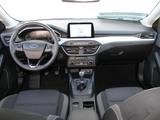 Ford Focus 2.0 EcoBlue C+C B&O AHK LED Kamera ACC - Ford Focus Gebrauchtwagen in Karlsruhe