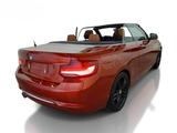 BMW 220 d Cabrio Luxury Line Autom. Leder RFK - BMW 220 in Dortmund