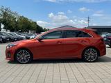 Kia Ceed GT ACC DAB JBL LED Leder Pano RFK ViCo - Kia cee'd / Ceed mit Benzin-Antrieb: Automatik
