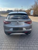 Alfa Romeo Stelvio 2.2 Diesel 16V 140kW Super AT8 Super - Alfa Romeo Stelvio von privat
