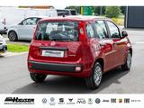 Fiat Panda MY25 Hybrid 1.0 GSE SOFORT CITY-PAKET TEMP - Fiat Panda: 1.2