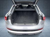 Audi e-tron - Vorschau Bild 14