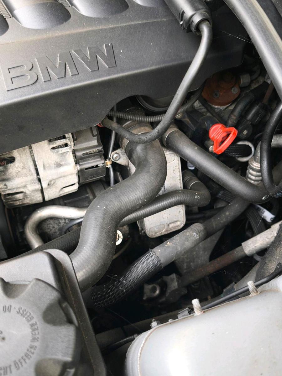 BMW  2010 — photo 7
