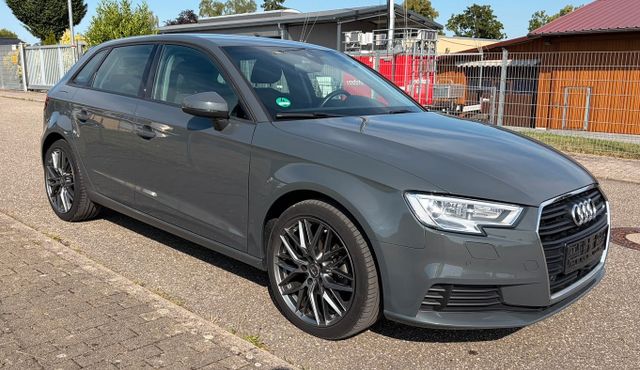 AUDI A3 2.0 TDI Sportback / Automatik / ACC / Navi 