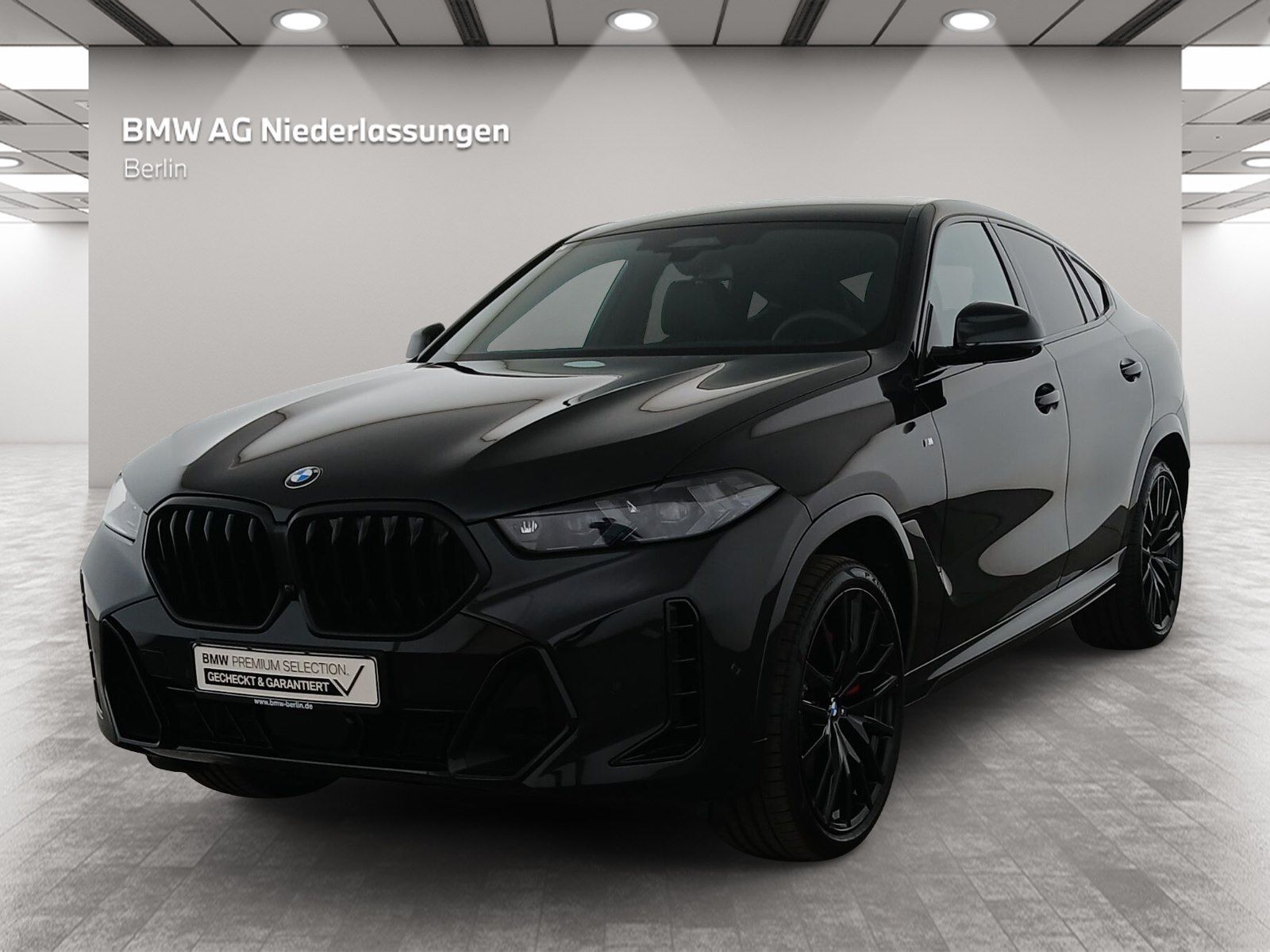 BMW X6 xDrive40d M Sport Driv.Assist.Prof Harman/K