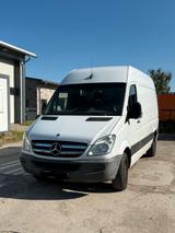 Mercedes-Benz Mercedes Sprinter 319 CDI  190 PS  viele... - Mercedes-Benz Sprinter: 19