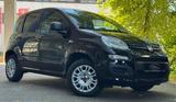 Fiat Panda TÜV AU NEU*KLIMA*Euro 6* - gebrauchte Fiat Panda aus dem Jahr 2019