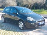 Fiat Punto 1.2 Lounge 69CV - Fiat Punto: Lounge
