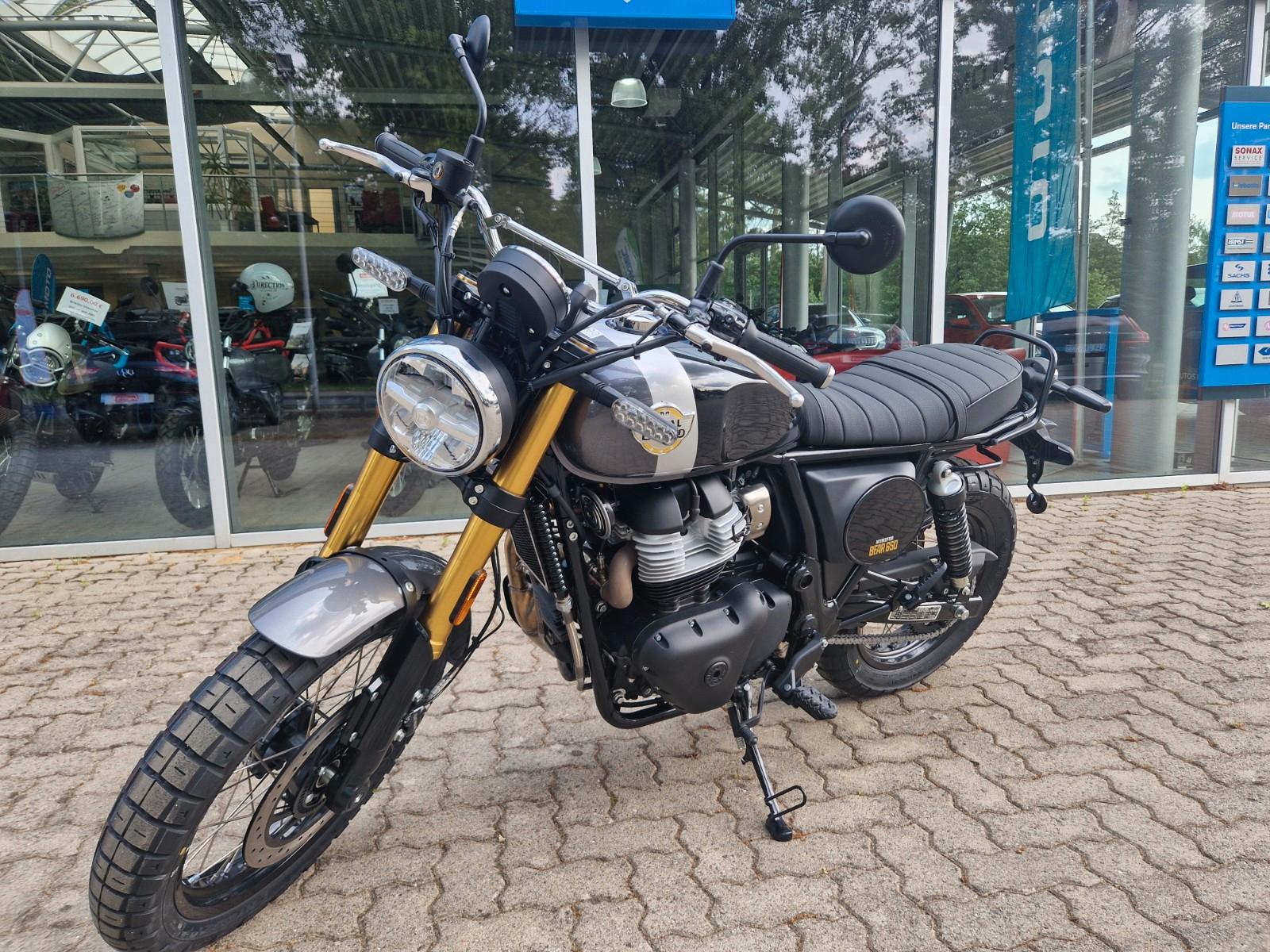 Royal Enfield Bear 650 Golden Shadow - sofort verfügbar
