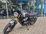 Royal Enfield Bear 650 Golden Shadow - sofort verfügbar - Royal Enfield Bear 650