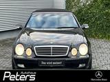 Mercedes-Benz CLK 230 KOMPRESSOR Cabriolet Avantgarde/Navi - Mercedes-Benz CLK 230: Kompressor
