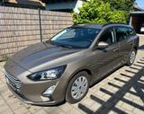 Ford Focus 1,0 EcoBoost 74kW Trend Turnier Trend - Ford: Gold