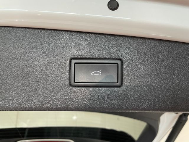 Tiguan Allspace R-Line 4M 2.0 TSI DSG 7-SITZER N