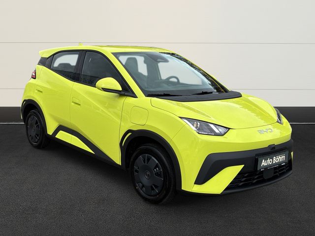 BYD Dolphin Surf Active+Kam+ACC+Leder+PDC+Navi+DAB+K