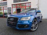 Audi SQ5 3.0 TDI Quattro SHZ/21ZOLL/B&O/PANO/KAMERA - Audi SQ5 Gebrauchtwagen in Köln