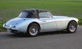 Austin Healey Andere - Austin Healey aus 1965
