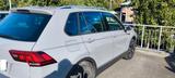 Volkswagen Tiguan 1.5 TSI OPF DSG UNITED - Volkswagen Tiguan UNITED mit Benzin-Antrieb
