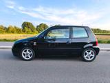 Volkswagen VW Lupo 16V 101PS 1.4Liter 6X  schwarz - Volkswagen Lupo: 6x