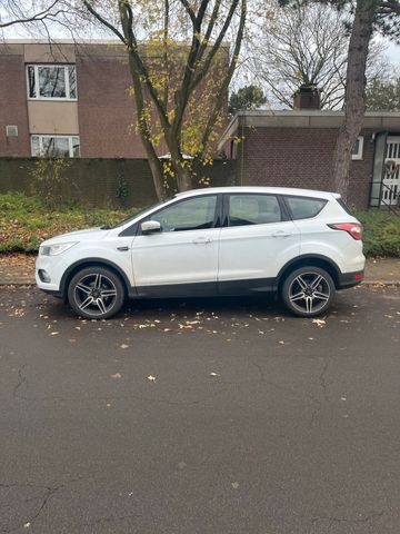 Ford kuga 1.5 EcoBoost mit AHK Winter-Paket