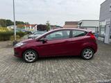 Ford Fiesta Sync Edition - gebrauchte Ford Fiesta aus dem Jahr 2014