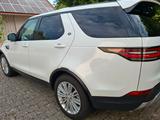 Land Rover Discovery 3.0 TD6 HSE HSE - Land Rover Discovery: Weiß