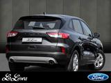 Ford Kuga Plug-In Hybrid Cool & Connect Winterpaket,  - Ford Kuga mit Hybrid-Antrieb: Automatik