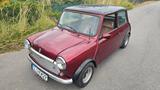 MINI 1000 - rote MINI 1000