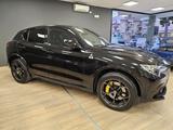 Alfa Romeo Stelvio 2.9 Bi-Turbo V6 510 CV AT8 Qu - Alfa Romeo Behindertengerecht
