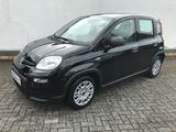 Fiat Panda MY24 1.0 GSE Hybrid Klimaanlage - Fiat Panda Gebrauchtwagen in Aachen