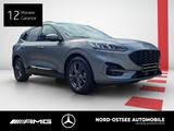 Ford Kuga 2.0 EcoBlue Hybrid ST-LINE PANO WINTER SHZ - Ford Kuga mit Panoramadach