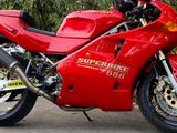 Ducati 888 - DUCATI 888